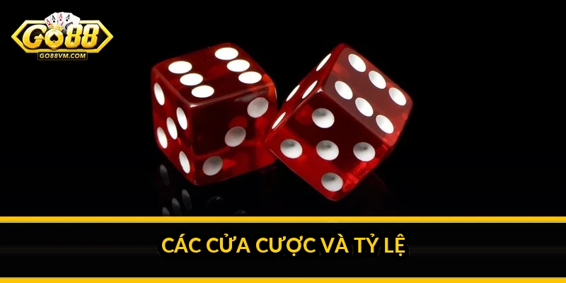 Tài Xỉu Go88: luật chơi, cửa cược và sự thật về soi cầu Các cửa cược và tỷ lệ